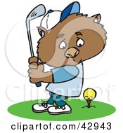 Poster, Art Print Of Golfing Wombat Swinging