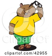 Poster, Art Print Of Squinting Wombat Holding Glasses