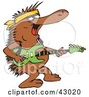 Poster, Art Print Of Guitarist Echidna Playing During A Concert