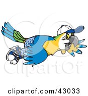 Blue And Yellow Macaw Flying In Shorts And A Hat
