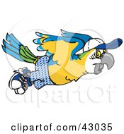 Poster, Art Print Of Flying Blue And Yellow Macaw In Shorts And A Hat