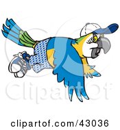 Poster, Art Print Of Blue And Yellow Macaw Wearing Shorts And A Hat In Flight