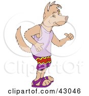 Friendly Dingo In Clothes