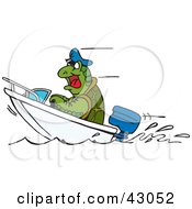 Sea Turtle Driving A Boat