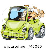 Dog Driving A Green Slug Bug Convertible And Giving The Thumbs Up