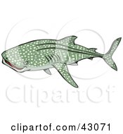 Poster, Art Print Of Spotted Green Whale Shark
