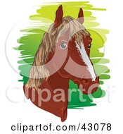 Poster, Art Print Of Brown Horse Head With A Short Mane