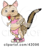 Clipart Illustration Of A Quoll In A Pink Bikini And Shoes by Dennis Holmes Designs