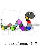 Poster, Art Print Of Multi-Colored Snake
