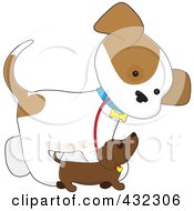 Cute Puppy Walking Alongside A Smaller Dog