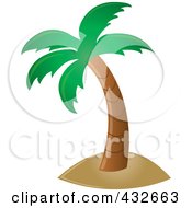 Poster, Art Print Of Perfect Tropical Palm Tree