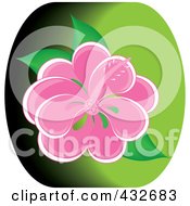Poster, Art Print Of Pretty Pink Hibiscus Flower On Green