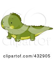 Cute Baby Iguana