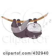 Poster, Art Print Of Cute Baby Sloth Hanging From A Vine And Sleeping