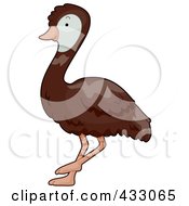 Royalty Free RF Clipart Illustration Of A Cute Baby Emu