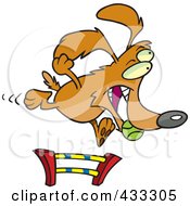 Poster, Art Print Of Dog Catching A Ball And Leaping A Hurdle In An Agility Course