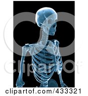 Poster, Art Print Of 3d Blue Human Skeleton Xray