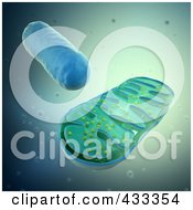 Royalty Free RF Clipart Illustration Of A 3d Mitochondrium