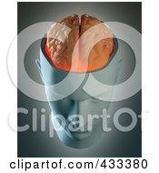 Poster, Art Print Of 3d Male Head With An Exposed Brain On A Gray Background