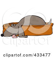 Poster, Art Print Of Tired Pooch Resting In A Doggy Bed