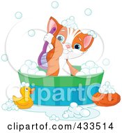 Poster, Art Print Of Cute Kitten Scrubbing His Back While Taking A Bath