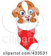 Happy Puppy In A Christmas Stocking