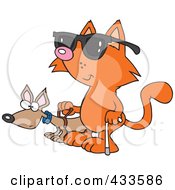 Blind Cat Using An Assistance Dog