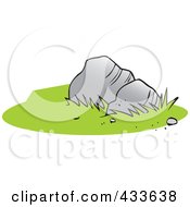 Two Boulders And Green Grass