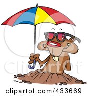 Groundhog Emerging With Shades And An Umbrella