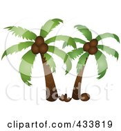 Two Palm Trees With A Coconut On The Ground