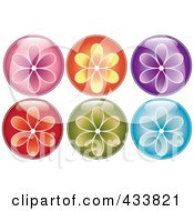 Digital Collage Of Shiny Round Colorful Flower Icons