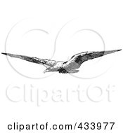 Poster, Art Print Of Black And White Sketch Of A Flying Eagle