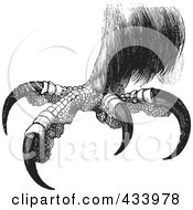 Royalty Free RF Clipart Illustration Of A Black And White Sketch Of Eagle Talons 2 by BestVector