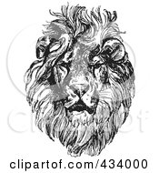 Poster, Art Print Of Vintage Black And White Lion Sketch - 4