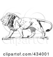 Poster, Art Print Of Vintage Black And White Lion Sketch - 2