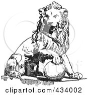 Poster, Art Print Of Vintage Black And White Lion Sketch - 3