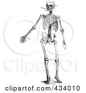 Royalty Free RF Clipart Illustration Of A Vintage Black And White Sketch Of A Human Skeleton 5 by BestVector
