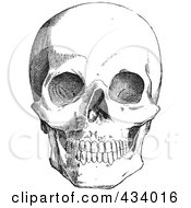 Royalty Free RF Clipart Illustration Of A Vintage Black And White Anatomical Sketch Of A Human Skull 7 by BestVector #COLLC434016-0144