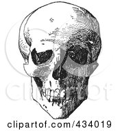 Royalty Free RF Clipart Illustration Of A Vintage Black And White Anatomical Sketch Of A Human Skull 8 by BestVector