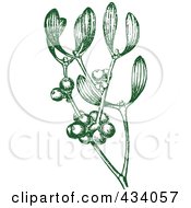 Poster, Art Print Of Vintage Green Sketch Of Mistletoe