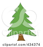 Poster, Art Print Of Pine Tree - 2