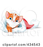 Cute Orange Kitten Reaching A Paw And Resting In A Christmas Stocking