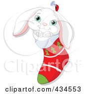 Cute White Rabbit In A Christmas Stocking
