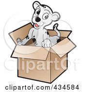 Poster, Art Print Of Cute Puppy In A Cardboard Box