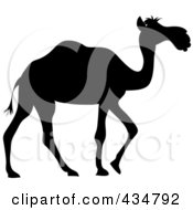 Poster, Art Print Of Black Silhouetted Walking Camel