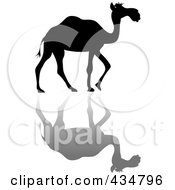 Poster, Art Print Of Black Silhouetted Walking Camel And Shadow