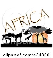 Poster, Art Print Of Africa Text Silhouetted Giraffes And Trees Against An African Sunset
