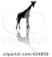 Poster, Art Print Of Black Silhouetted Giraffe And Shadow