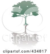 Royalty Free RF Clipart Illustration Of A Green African Umbrella Thorn Tree With A Shadow