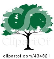 Royalty Free RF Clipart Illustration Of A Green African Umbrella Thorn Tree by Pams Clipart